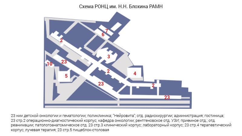 Схема морга онкологического центра им. Н.Н. Блохина