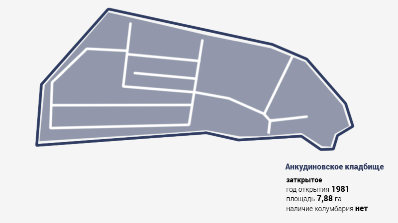 Анкудиновское