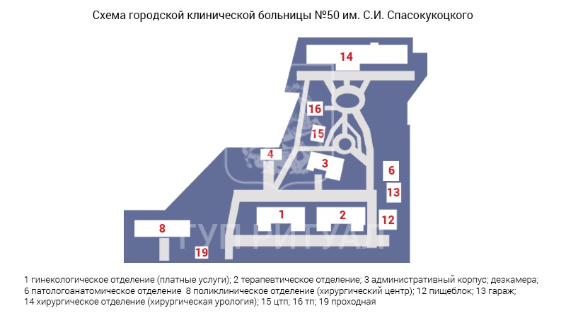 Схема морга городской клинической больницы № 50 им. С.И. Спасокукоцкого