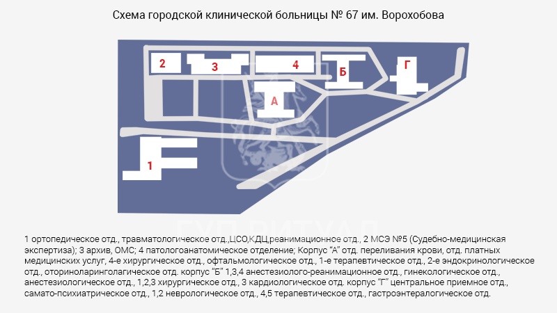 Схема морга городской клинической больницы № 67 им. Л.А. Ворохобова