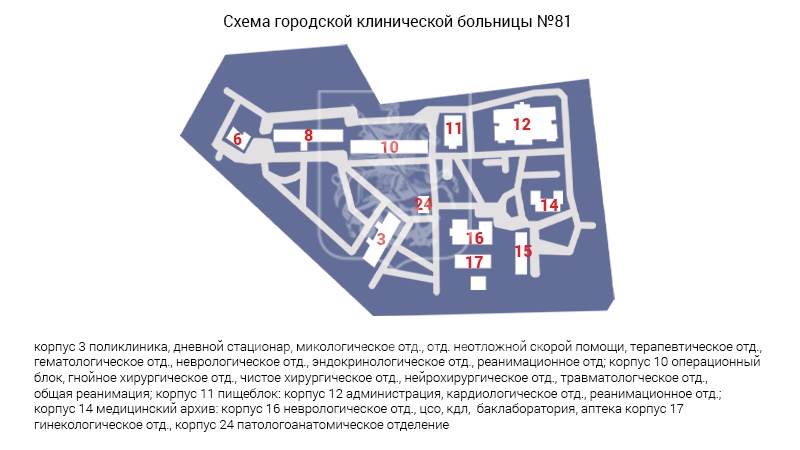 Схема морга городской клинической больницы № 81 им. В.В. Вересаева