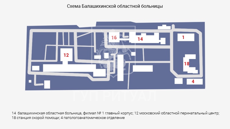 Схема морга Балашихинской областной больницы в Московской области