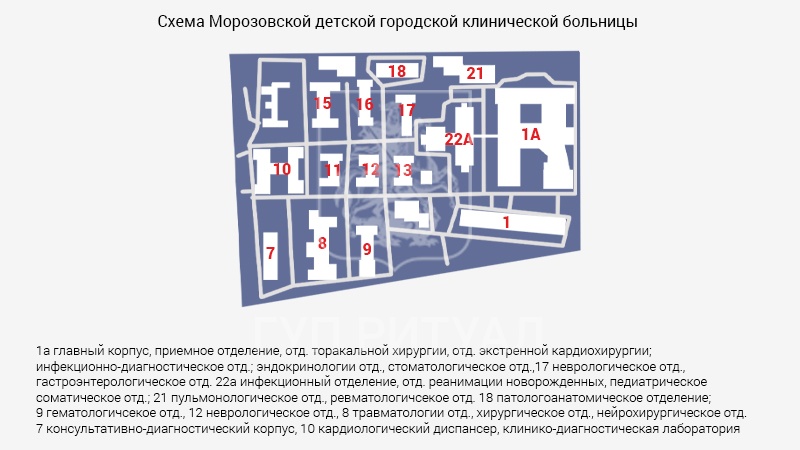 Схема морга Морозовской детской городской клинической больницы