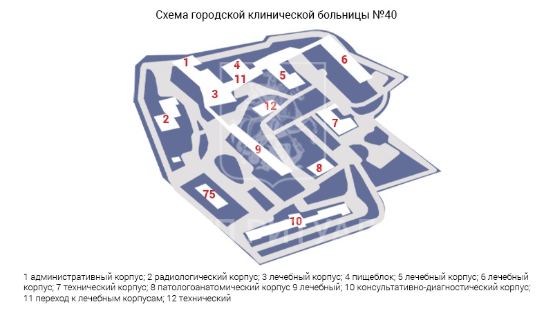 Схема морга городской клинической больницы № 40 – Государственный городской морг