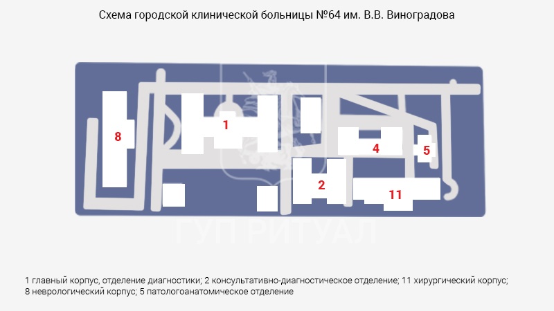 Схема морга городской клинической больницы № 64 им. В.В. Виноградова
